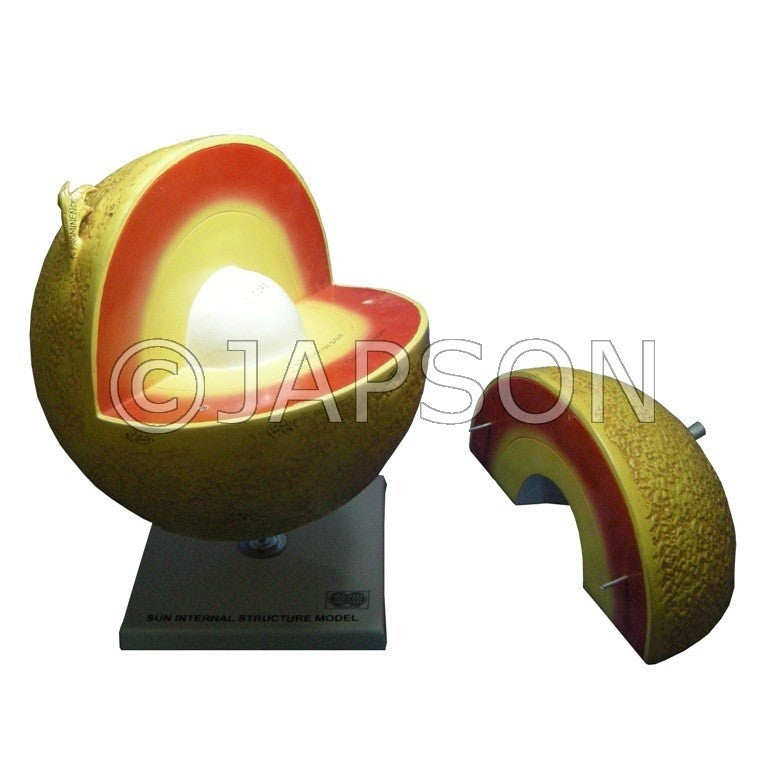 Model, Sun Internal Structure, 1/4 part detachable Model, Sun Internal Structure, 1/4 part detachable